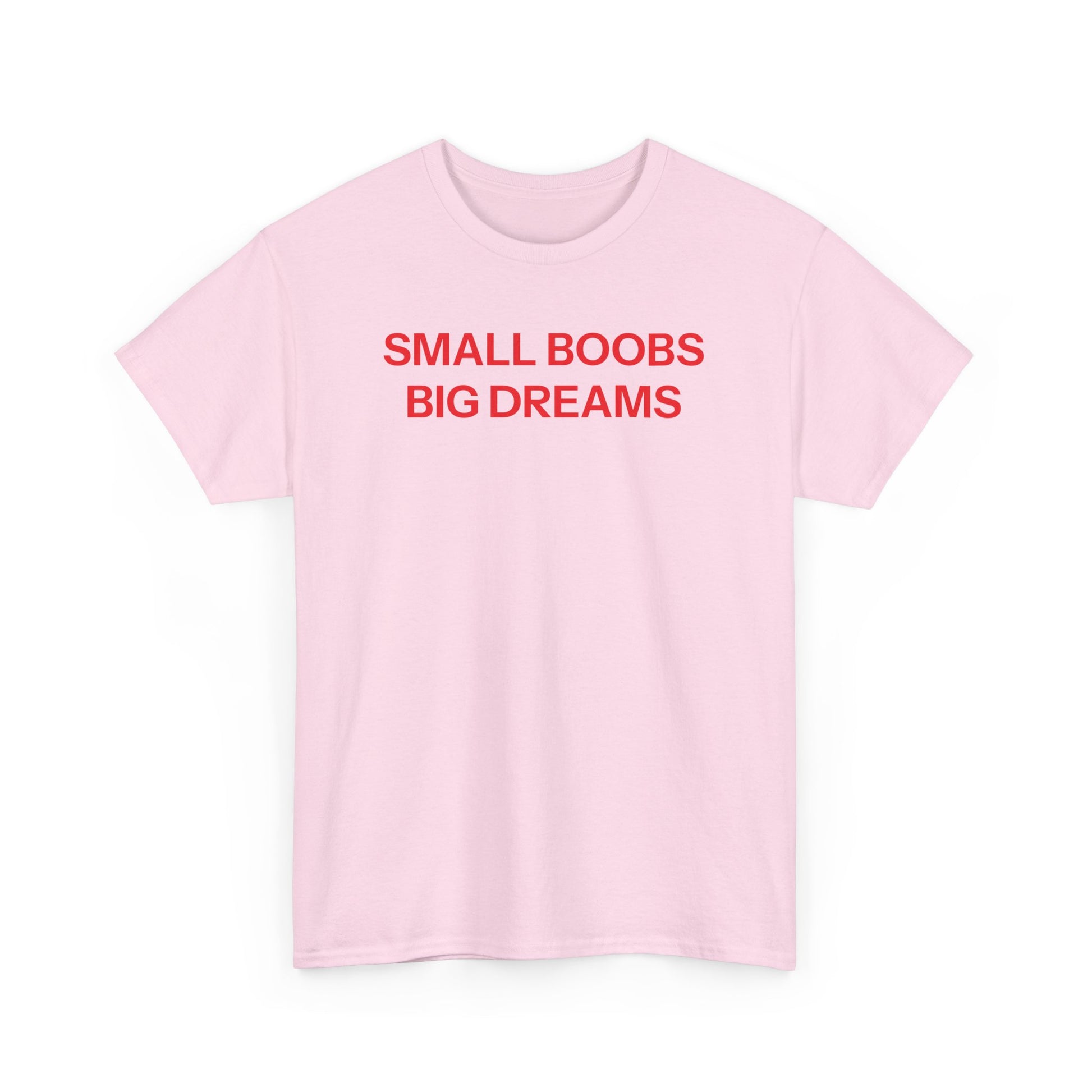 Small Boobs Big Dreams T-shirt