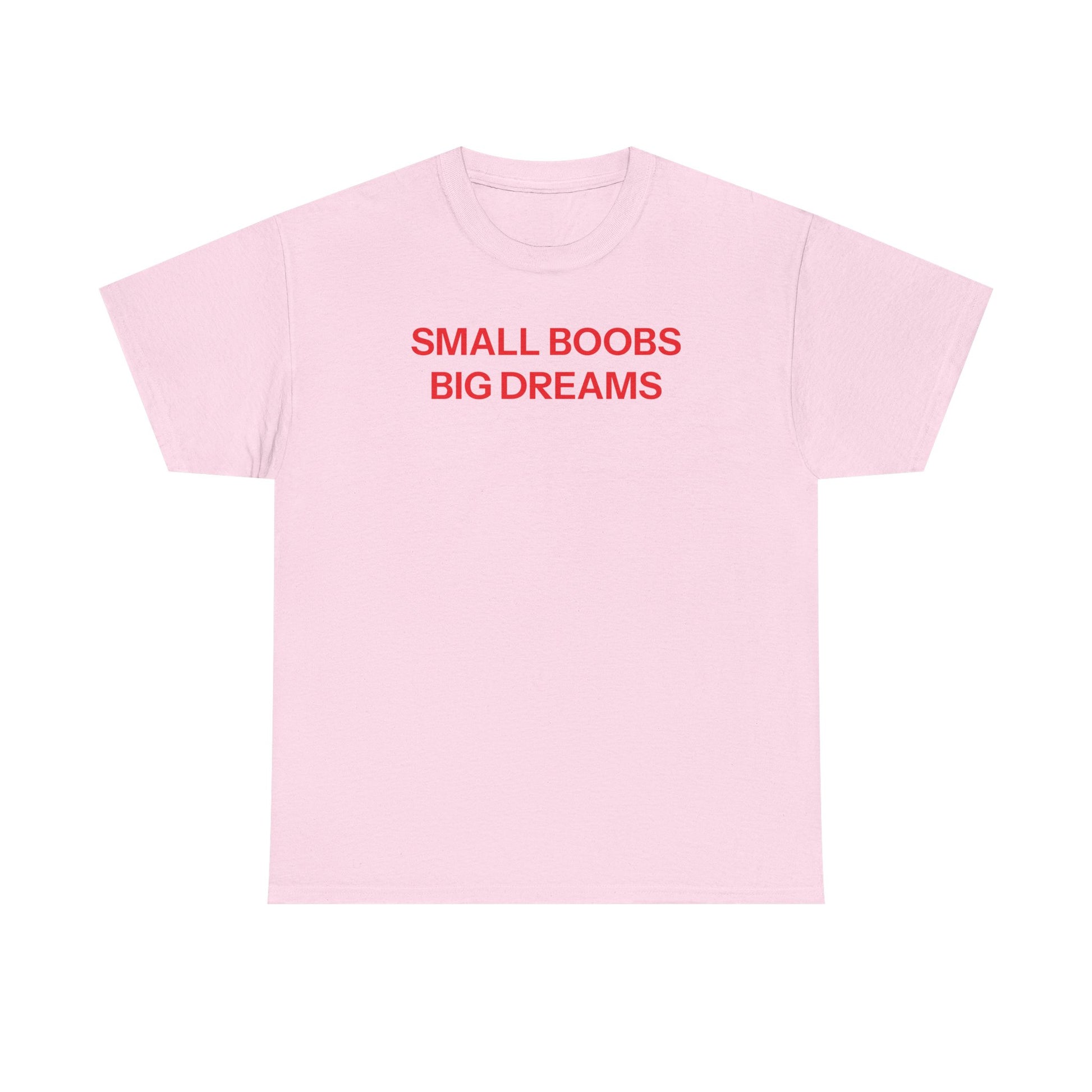 Small Boobs Big Dreams T-shirt