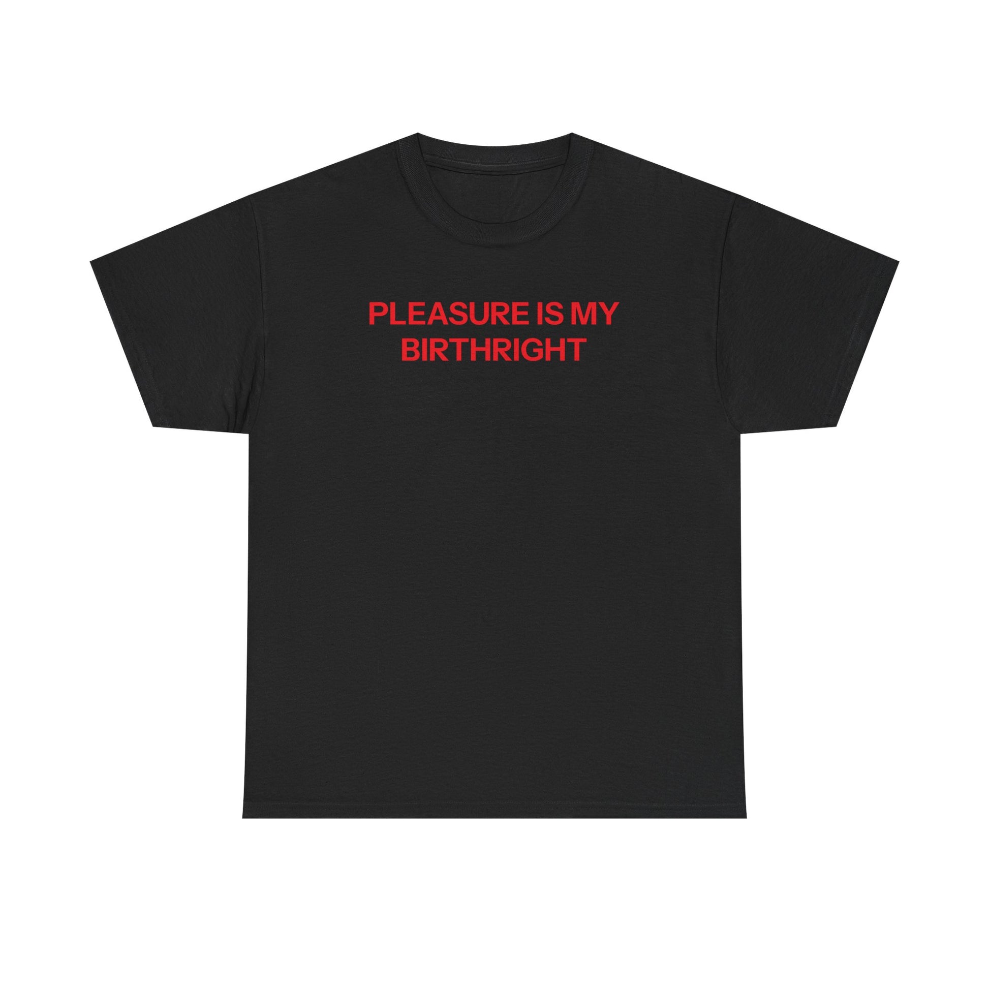 Birthright T-shirt