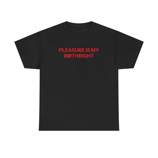 Birthright T-shirt