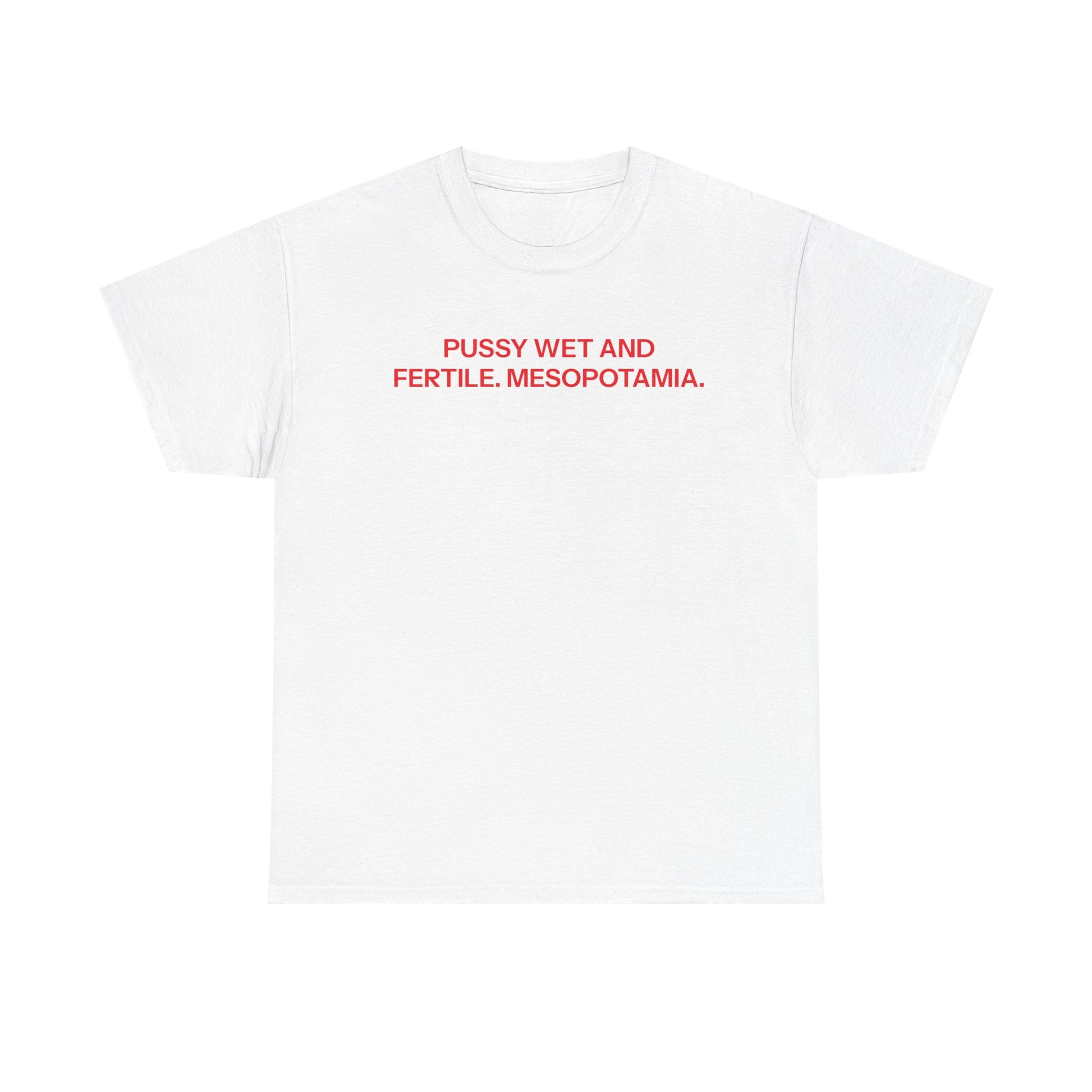 Mesopotamia T-shirt