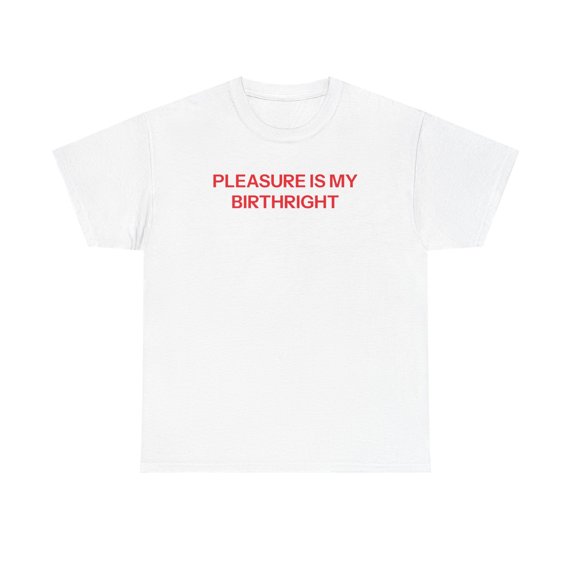 Birthright T-shirt