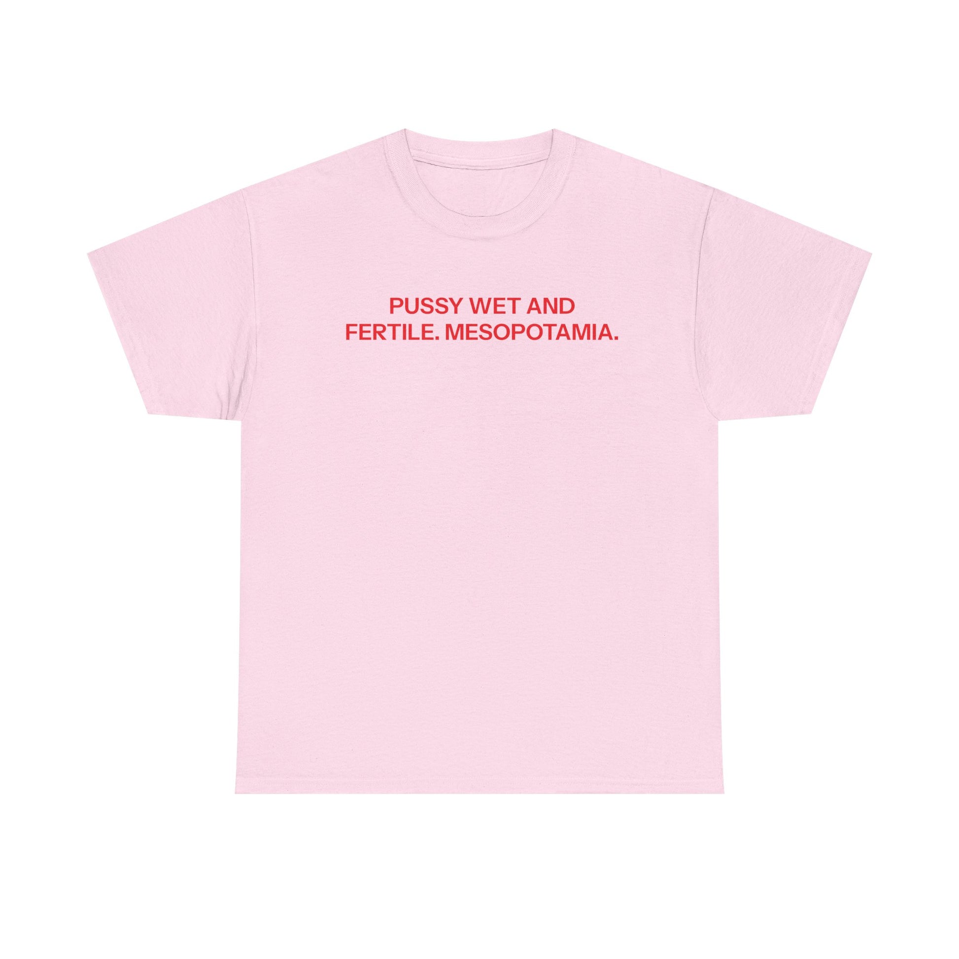 Mesopotamia T-shirt