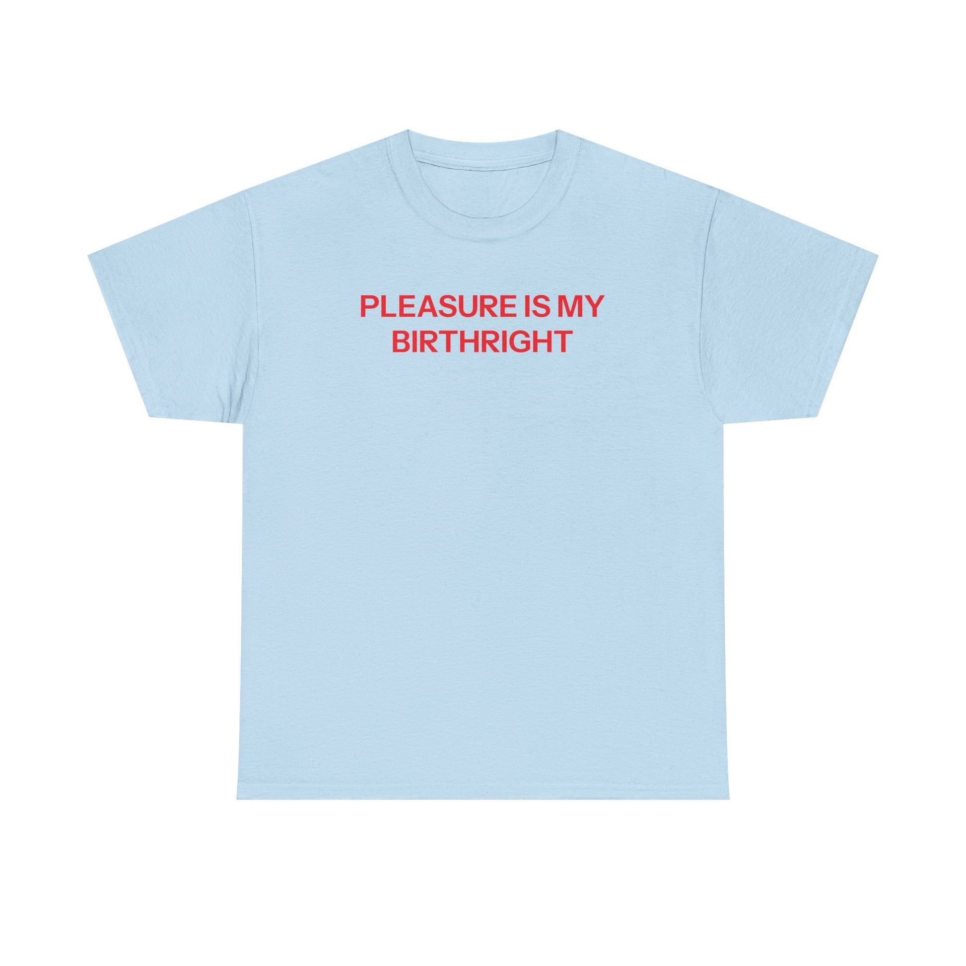 Birthright T-shirt