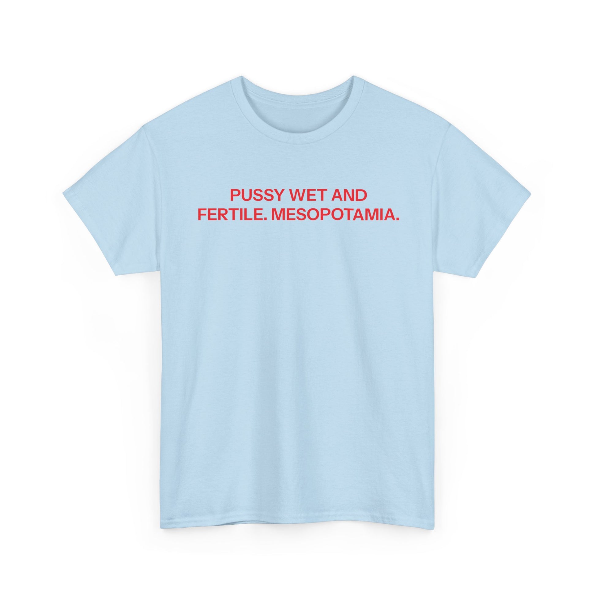 Mesopotamia T-shirt