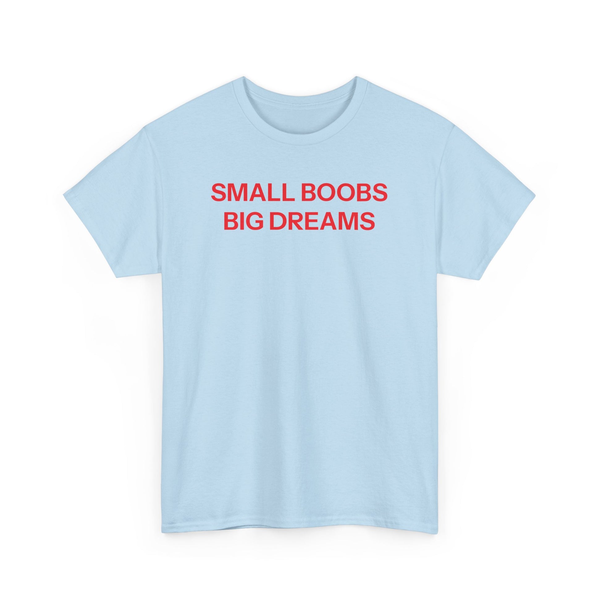 Small Boobs Big Dreams T-shirt