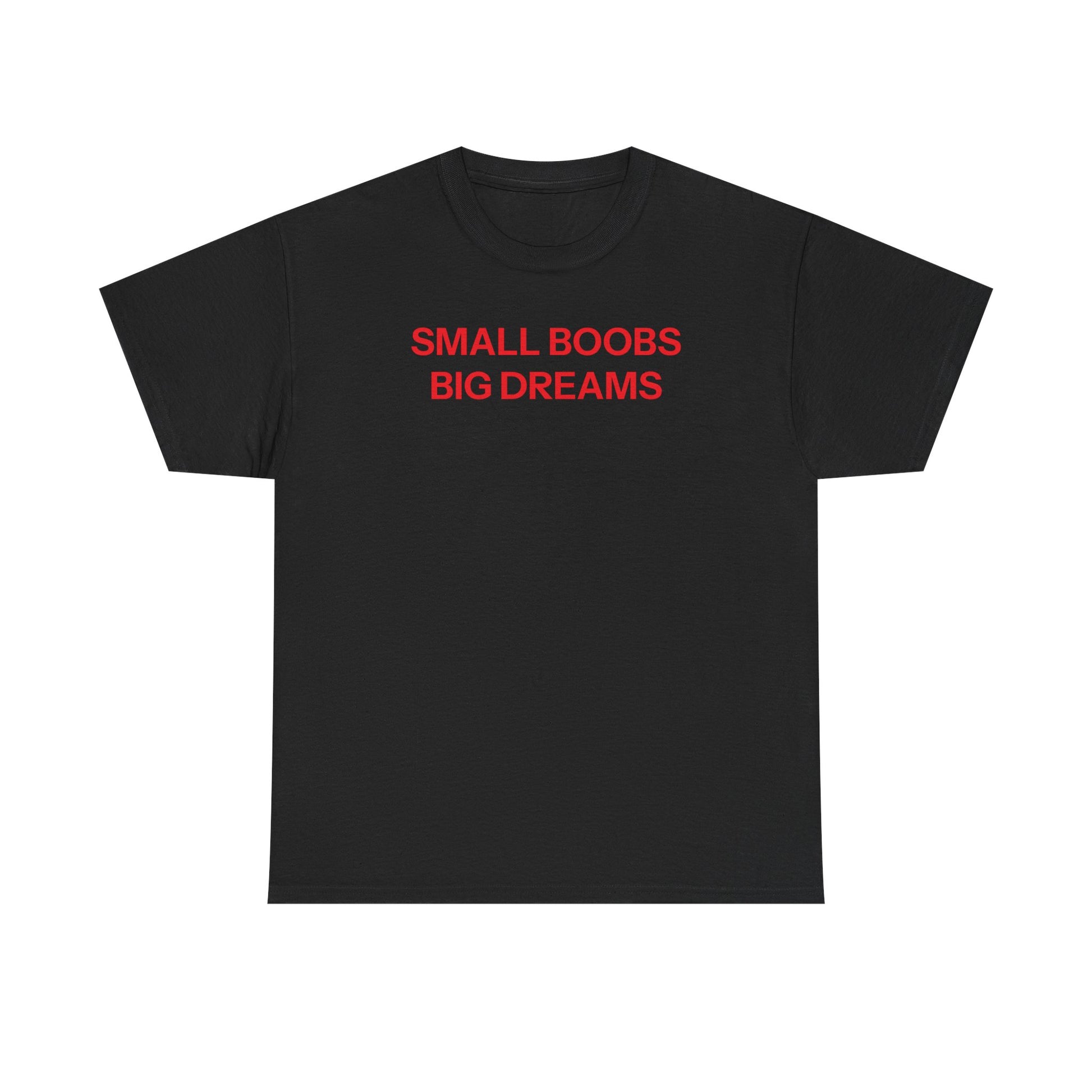 Small Boobs Big Dreams T-shirt