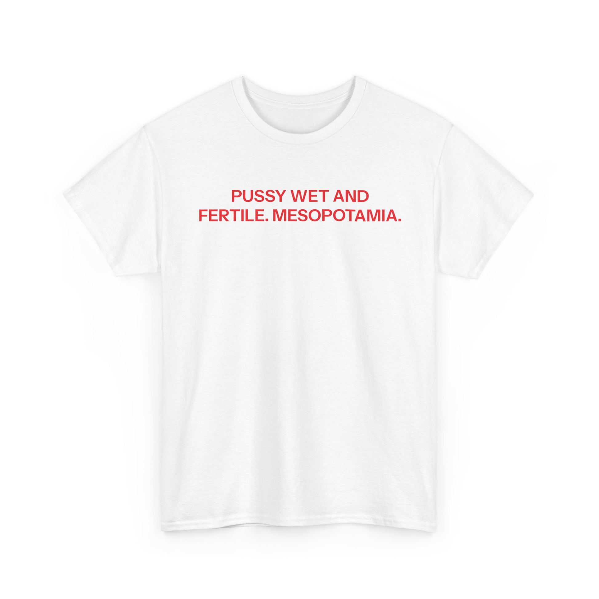 Mesopotamia T-shirt
