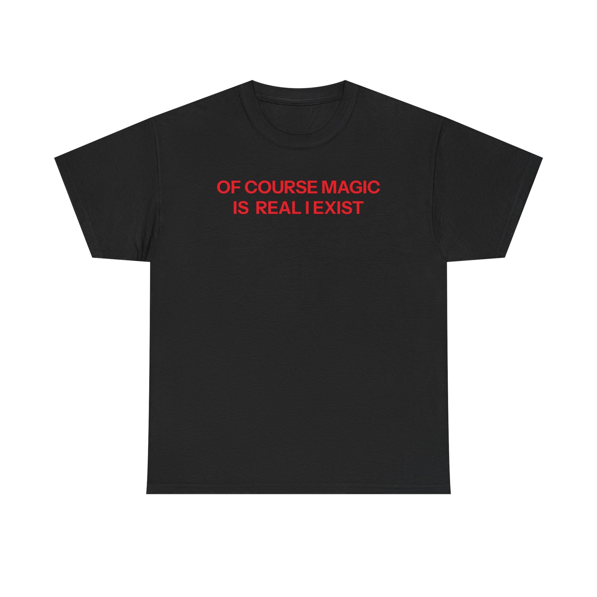 Magic is real T-shirt