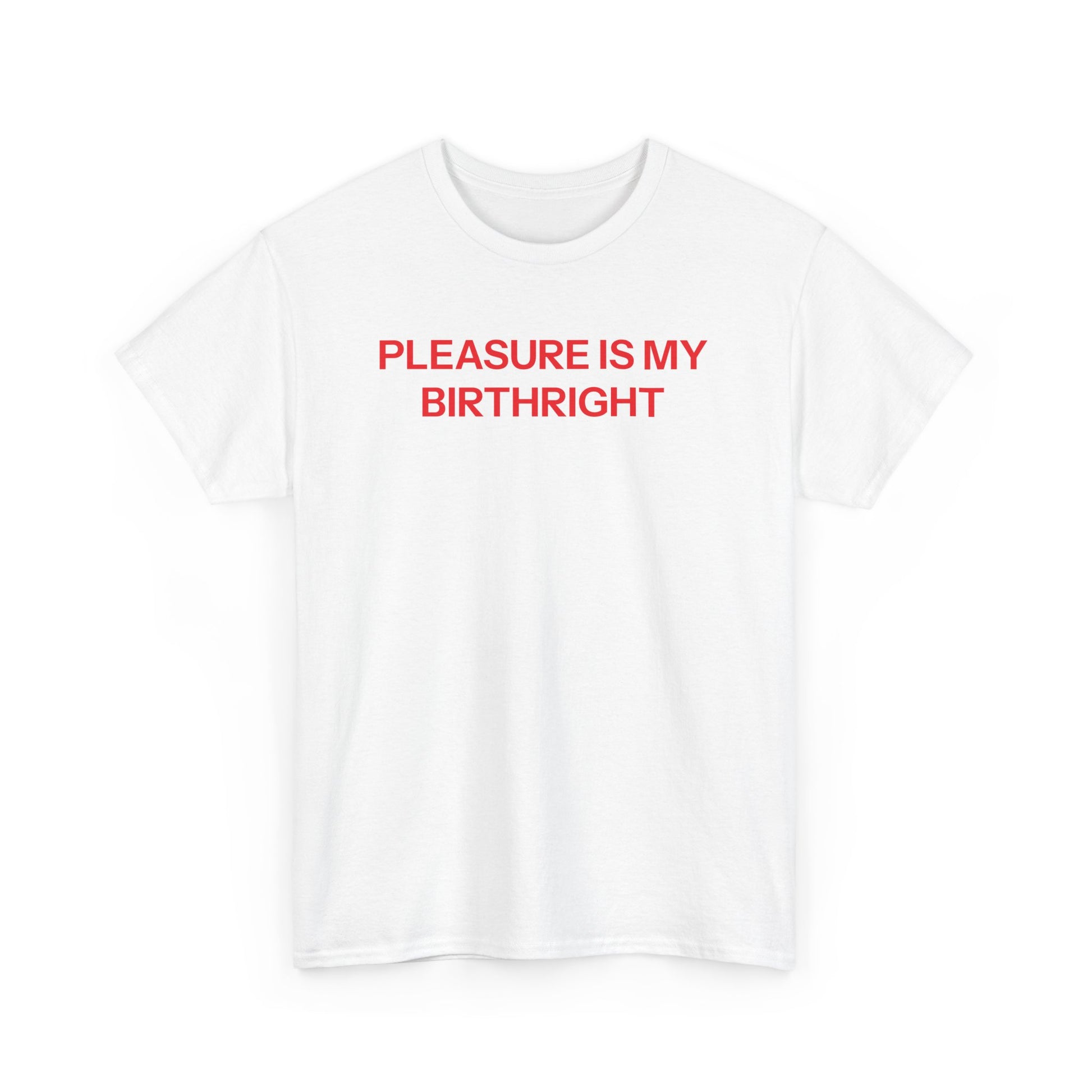 Birthright T-shirt