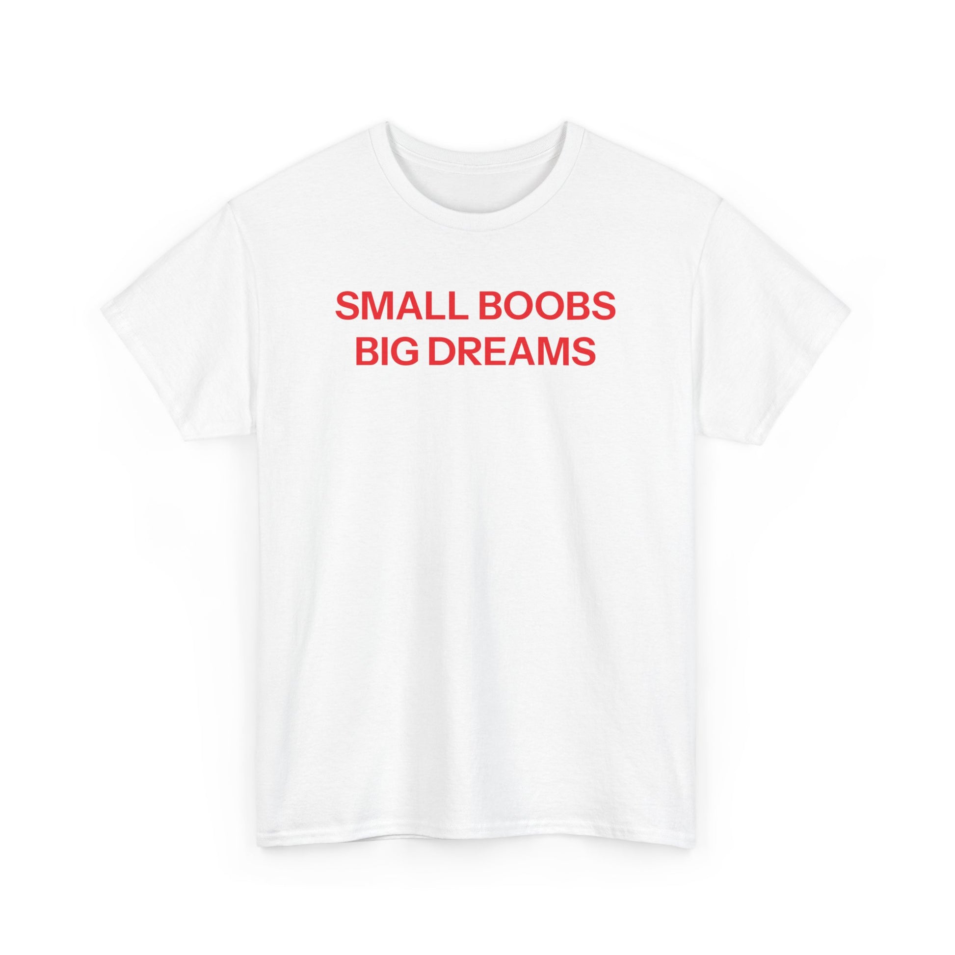 Small Boobs Big Dreams T-shirt
