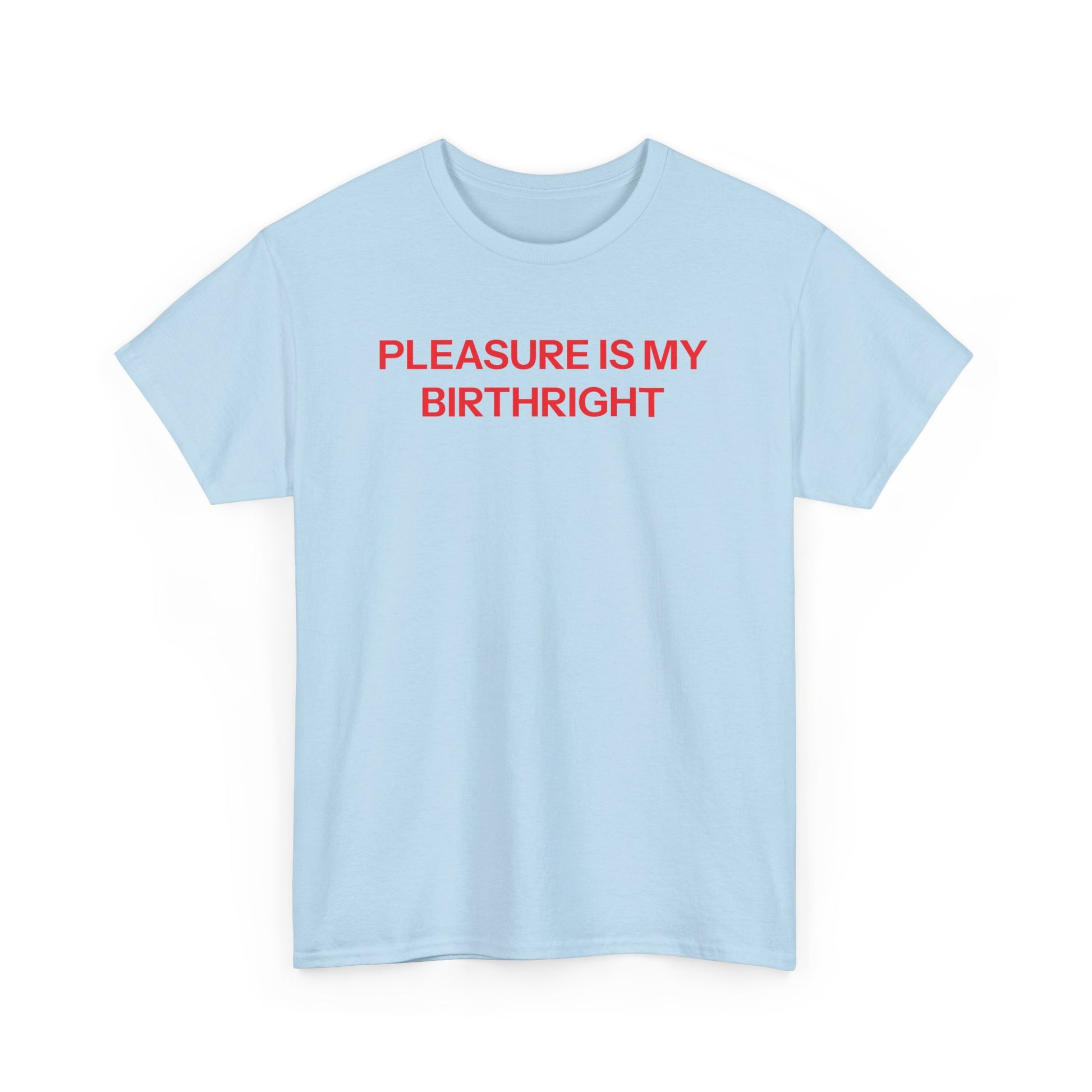Birthright T-shirt