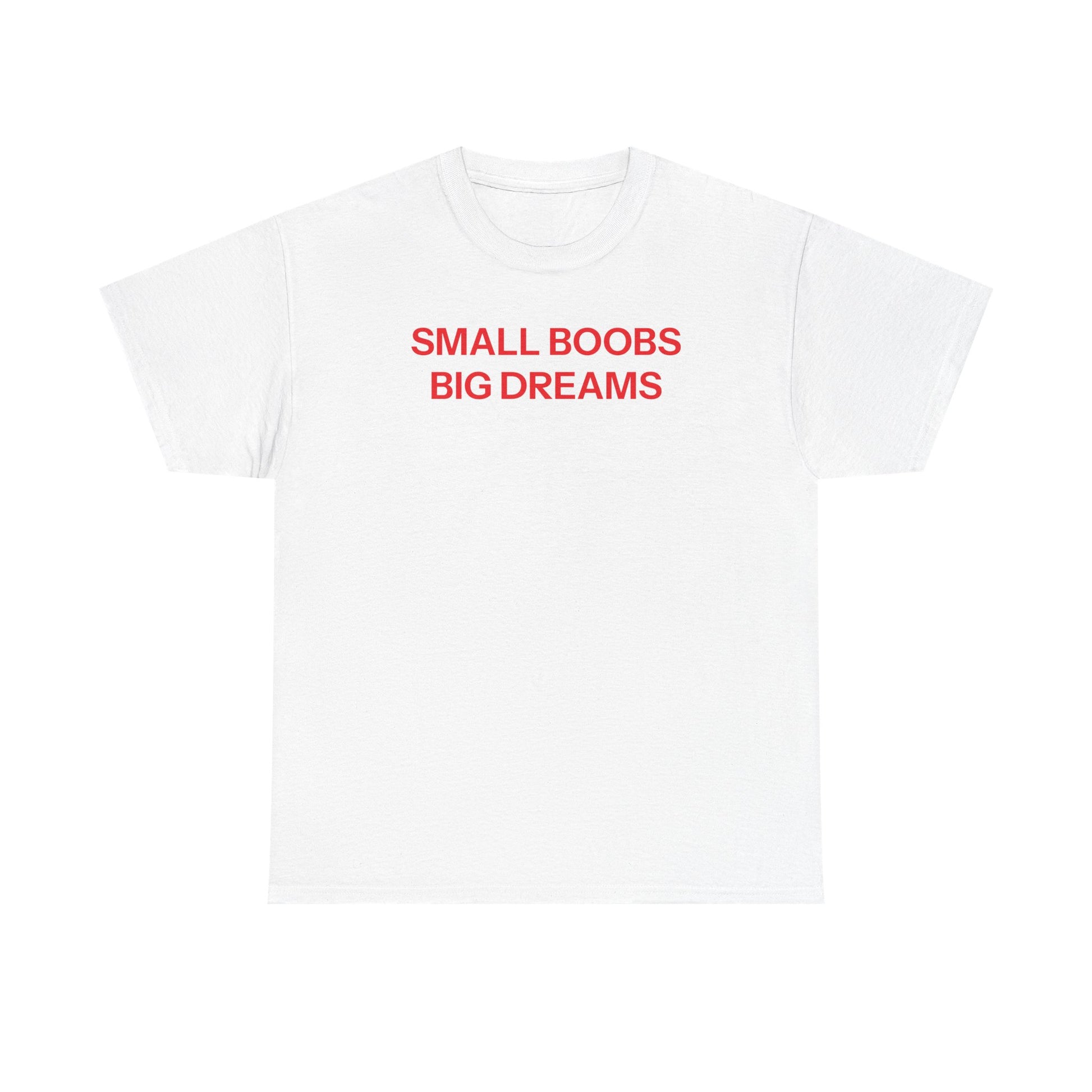Small Boobs Big Dreams T-shirt